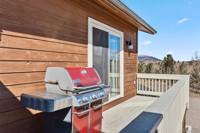 174 Skid Court, Fairplay, CO 80440