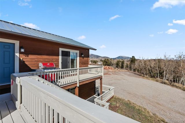 174 Skid Court, Fairplay, CO 80440