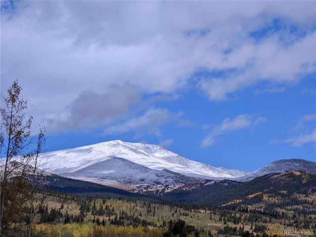 174 Skid Court, Fairplay, CO 80440