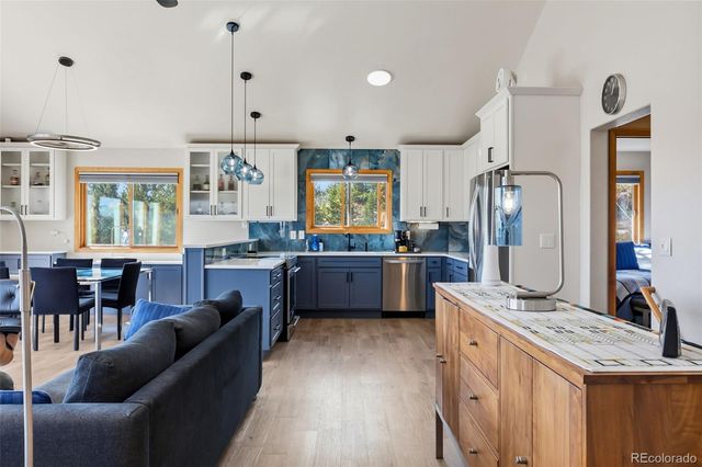 174 Skid Court, Fairplay, CO 80440