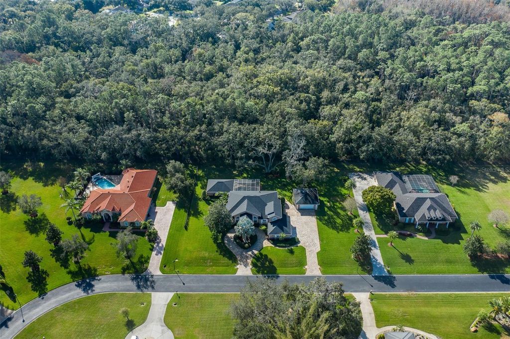 Image 67 of property listing at 1226 OAK MEADOW POINT, New Port Richey, FL 34655