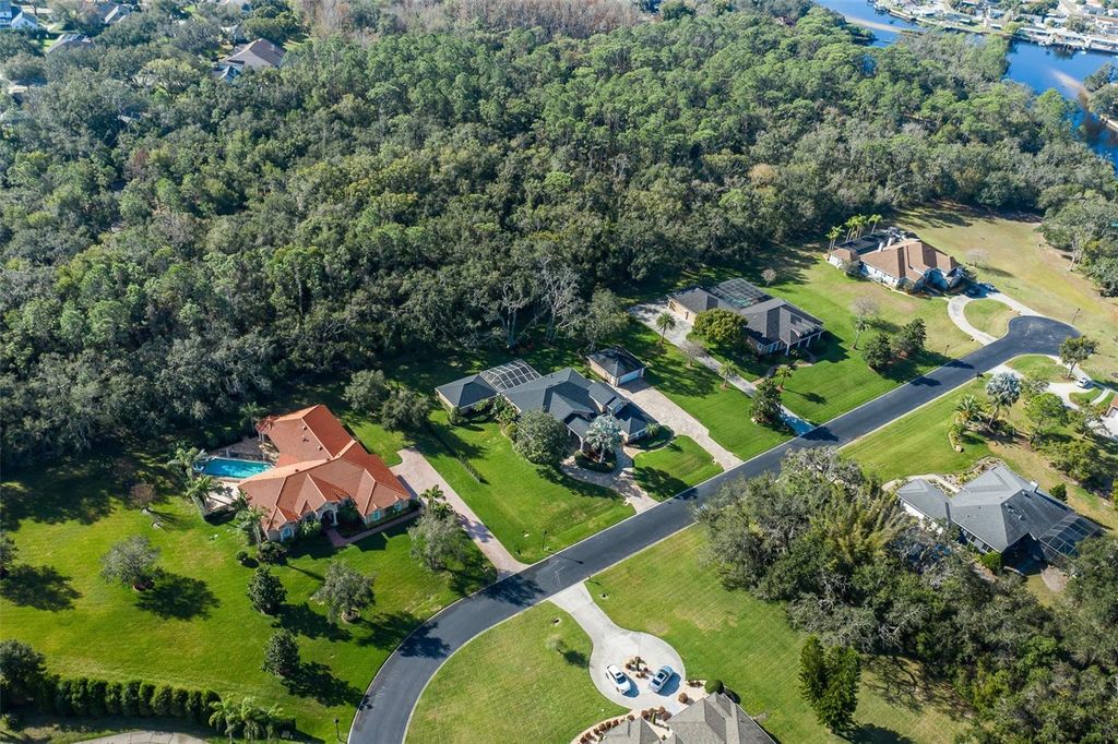 Image 68 of property listing at 1226 OAK MEADOW POINT, New Port Richey, FL 34655