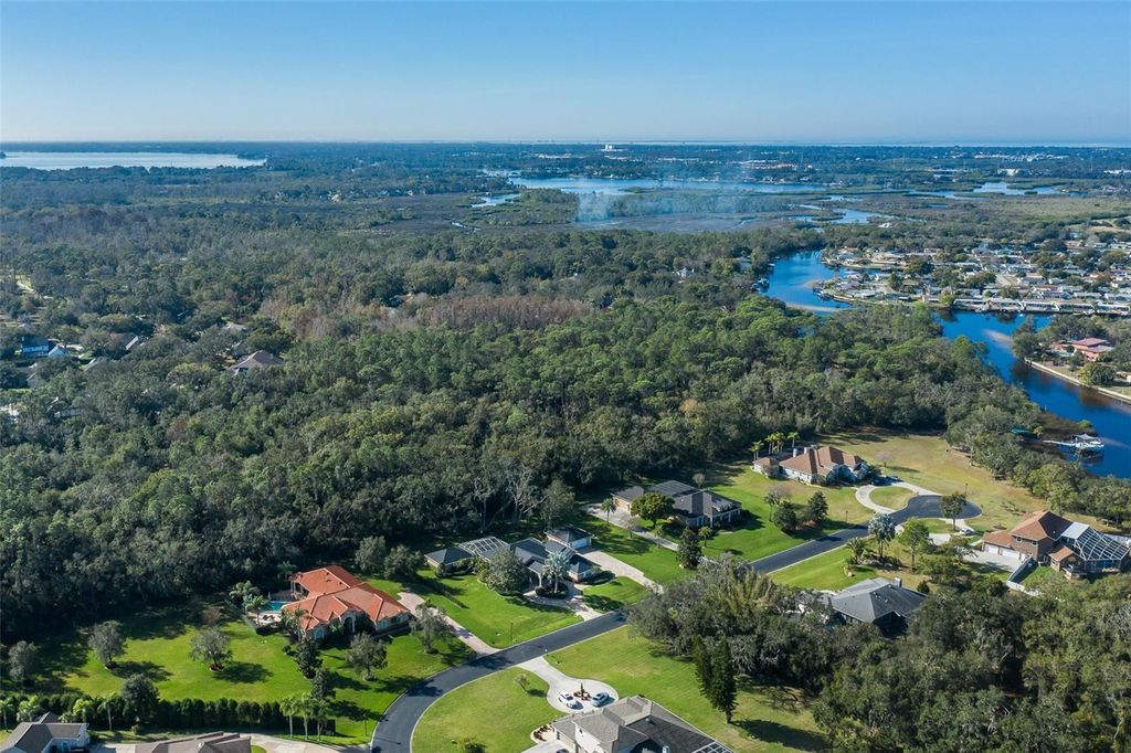 Image 69 of property listing at 1226 OAK MEADOW POINT, New Port Richey, FL 34655