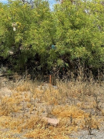 641 West Elderberry Street, Pahrump, NV 89048