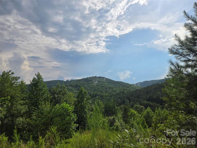 0 Pinegrove Drive 161, Bostic, NC 28018