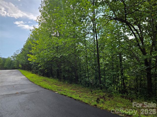 0 Pinegrove Drive 161, Bostic, NC 28018