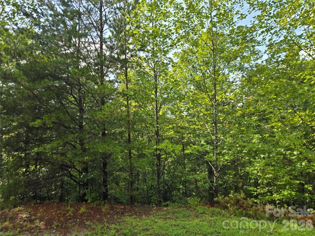 0 Pinegrove Drive 161, Bostic, NC 28018