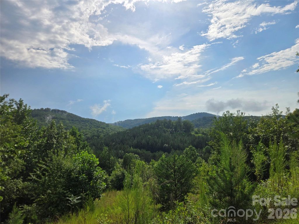 0 Pinegrove Drive 161, Bostic, NC 28018