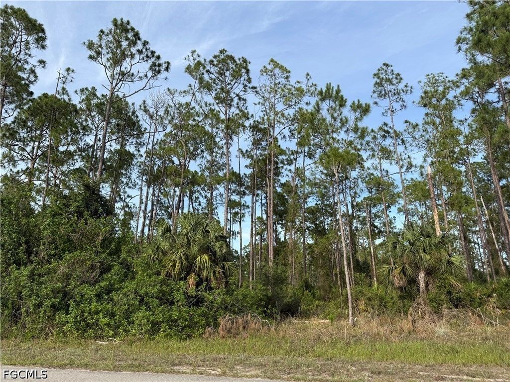 2202 Truman AVE, Alva, FL 33920