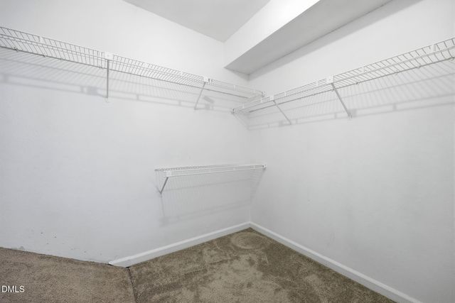 7605 Falcon Rest Circle, Raleigh, NC 27615