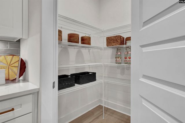 426 Rising Stream Way, Chapin, SC 29036