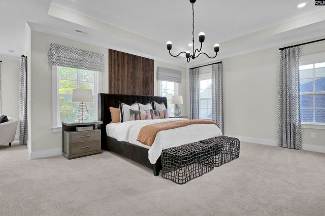 426 Rising Stream Way, Chapin, SC 29036