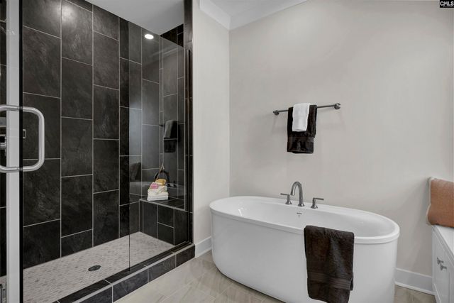 426 Rising Stream Way, Chapin, SC 29036