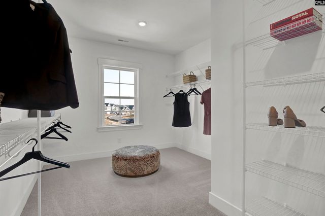 426 Rising Stream Way, Chapin, SC 29036