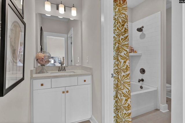 426 Rising Stream Way, Chapin, SC 29036