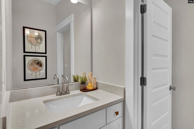 426 Rising Stream Way, Chapin, SC 29036