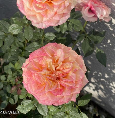 4881 Muirwood Court E, Simi Valley, CA 93063