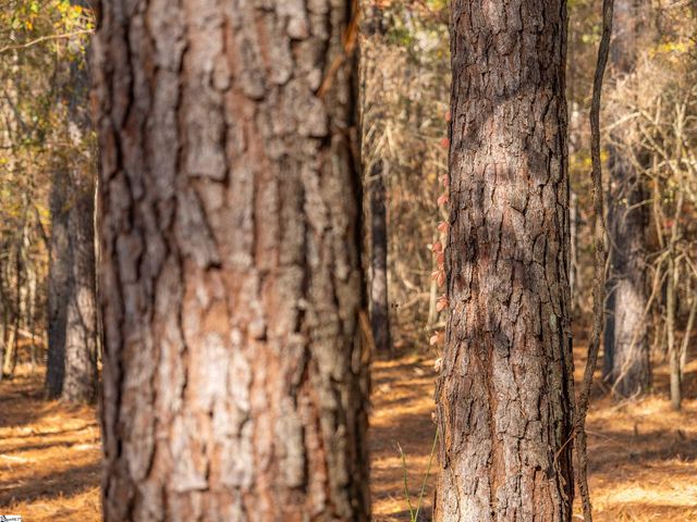 04 Mill Pine Road, Liberty, SC 29657