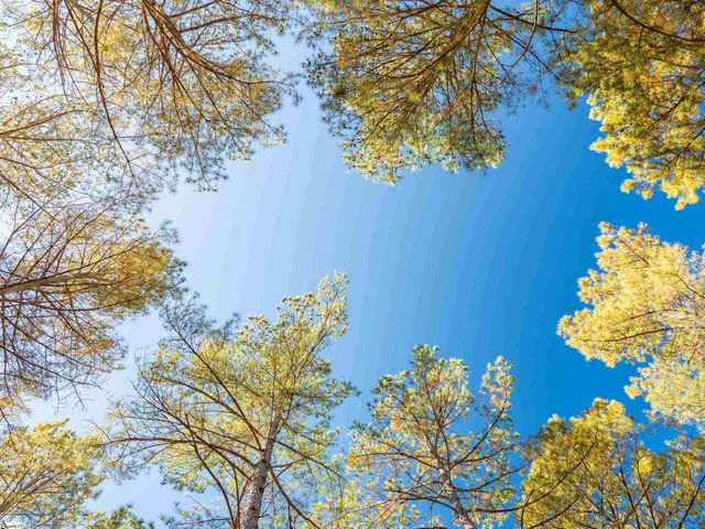 04 Mill Pine Road, Liberty, SC 29657