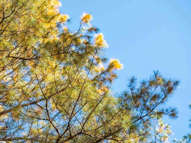 04 Mill Pine Road, Liberty, SC 29657