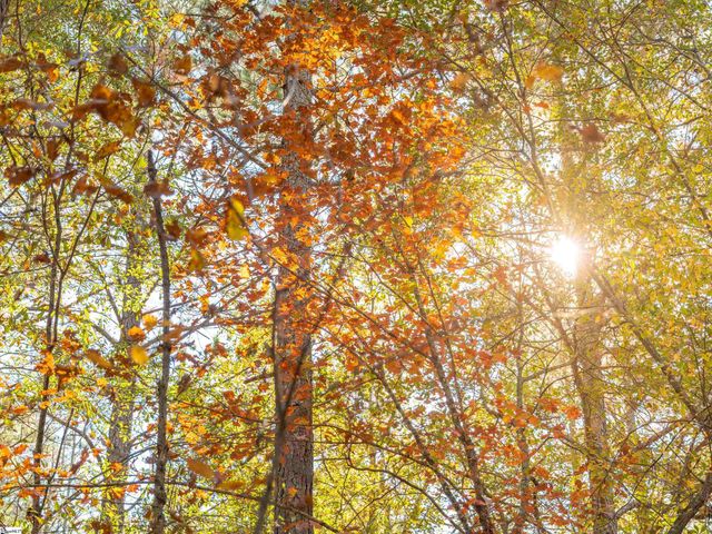 04 Mill Pine Road, Liberty, SC 29657