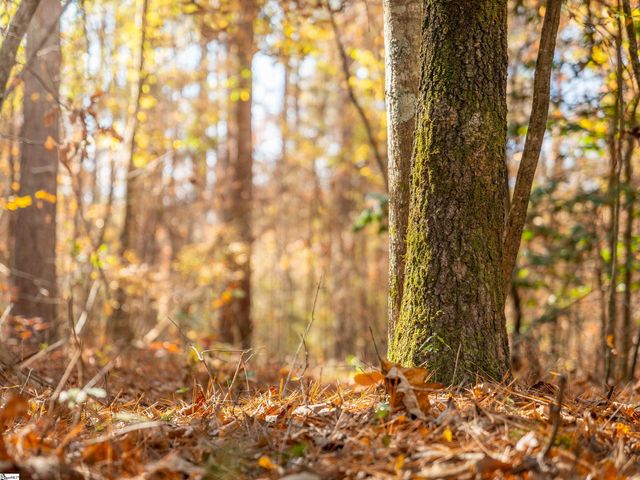 04 Mill Pine Road, Liberty, SC 29657