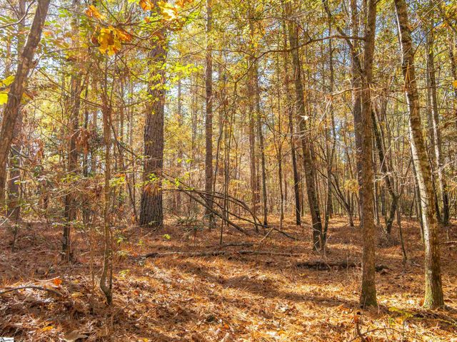 04 Mill Pine Road, Liberty, SC 29657