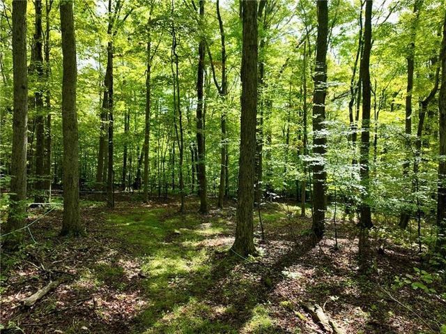 0 Trent Road, Milford Twp, PA 15501