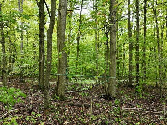 0 Trent Road, Milford Twp, PA 15501