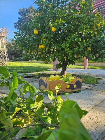 2376 Pepperdale Drive, Rowland Heights, CA 91748