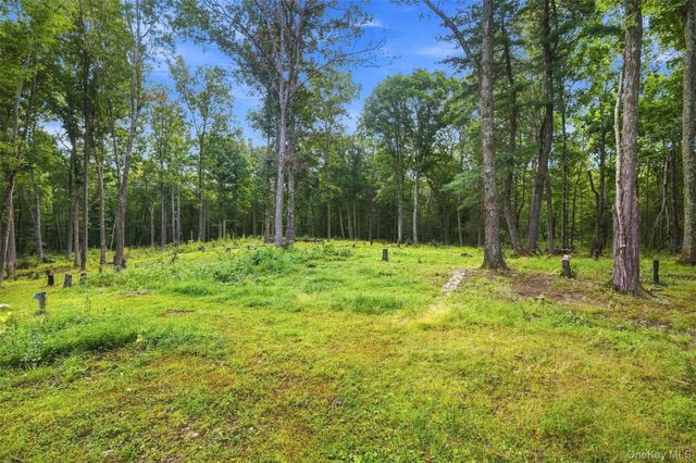 39 Jacob Rumph Court, Montgomery, NY 12549