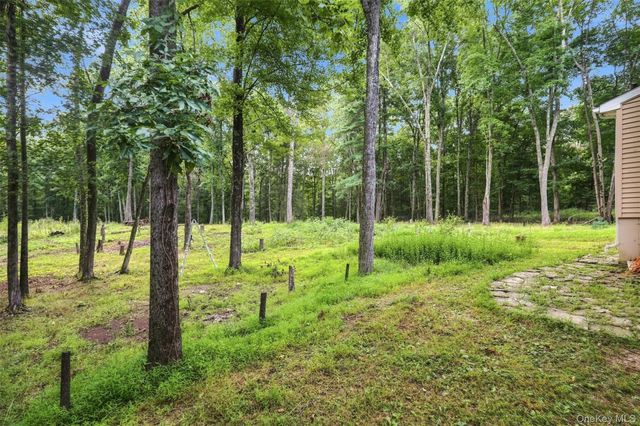 39 Jacob Rumph Court, Montgomery, NY 12549