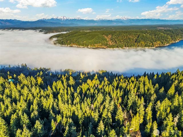 1121 E Timber Tides Drive, Union, WA 98592