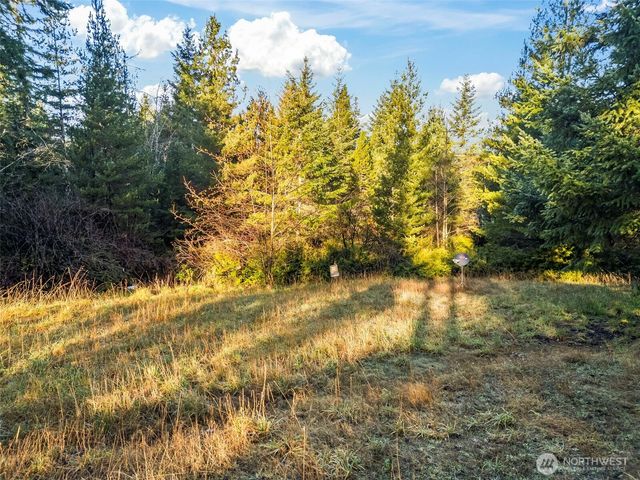 1121 E Timber Tides Drive, Union, WA 98592