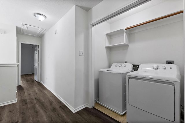 143 Anise Tree Place, The Woodlands, TX 77382