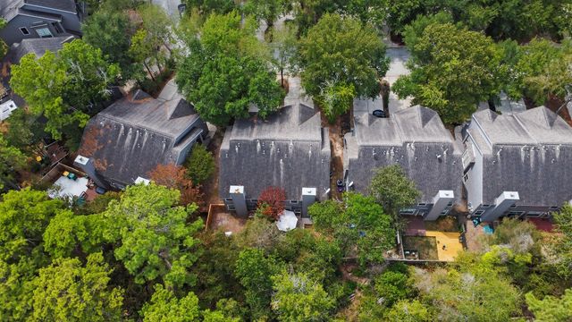 143 Anise Tree Place, The Woodlands, TX 77382