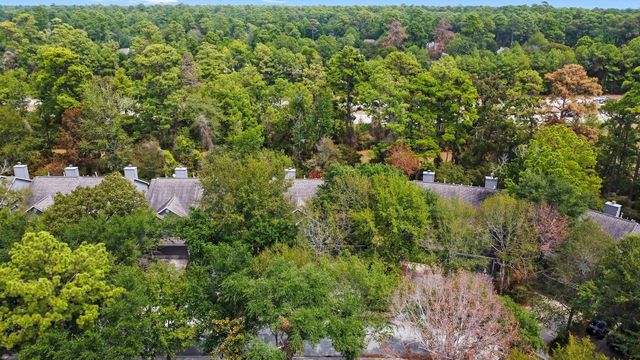 143 Anise Tree Place, The Woodlands, TX 77382