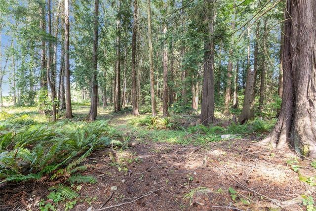 7411 Myers Road E, Bonney Lake, WA 98391