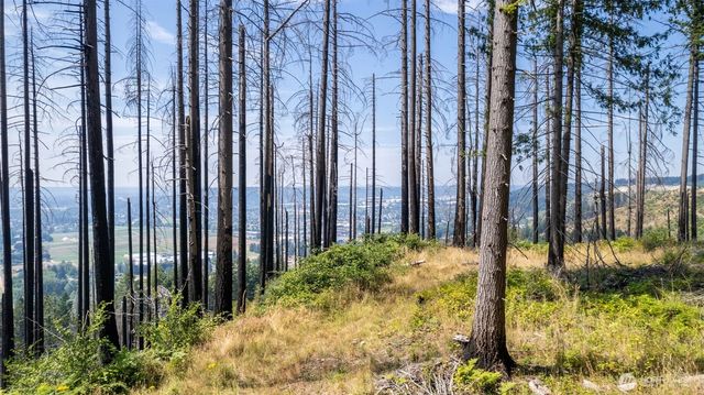 7411 Myers Road E, Bonney Lake, WA 98391