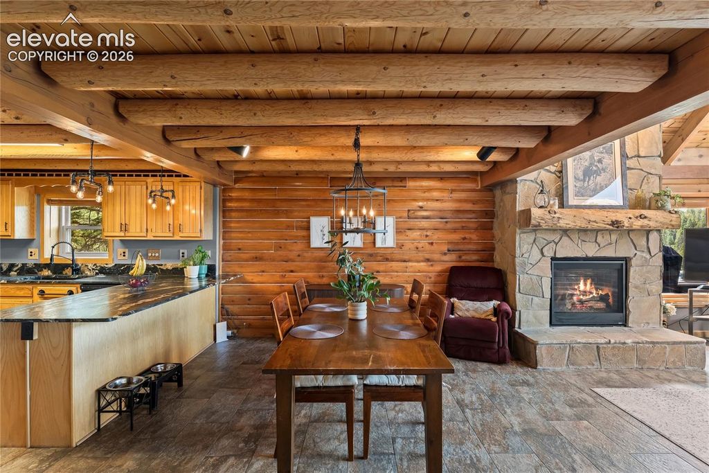 102 Douglas Fir Lane, Woodland Park, CO 80863 — photo 4