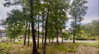 Tbd Pinehurst Court, Branson, MO 65616