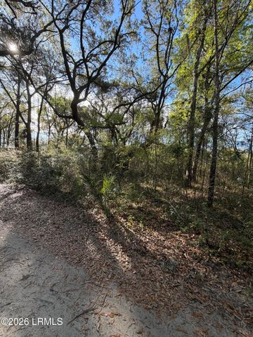 32 Jo Capers Road, St. Helena Island, SC 29920