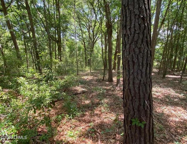 32 Jo Capers Road, St. Helena Island, SC 29920