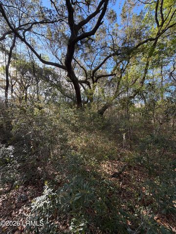 32 Jo Capers Road, St. Helena Island, SC 29920