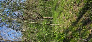 8332 Portland Lane, Dittmer, MO 63023