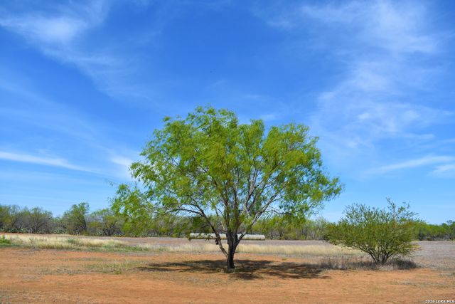 1163 County Road 323, Jourdanton, TX 78026