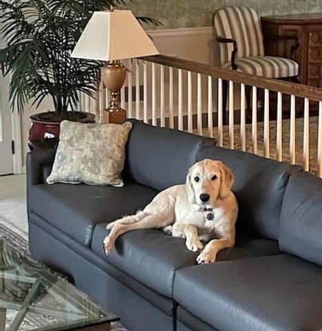 308 Rosslyn Road, Rosslyn Farms, PA 15106