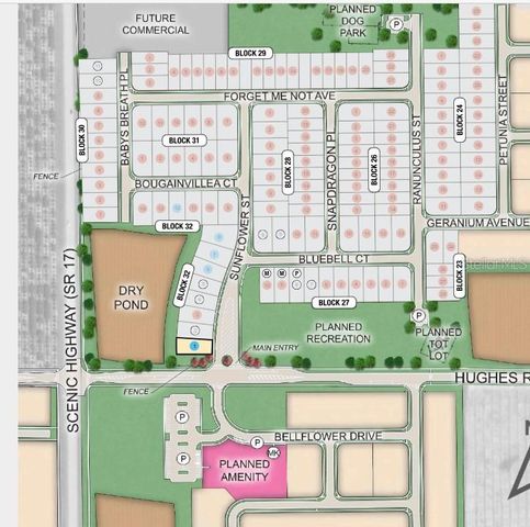 4804 SUNFLOWER STREET, Lake Hamilton, FL 33851