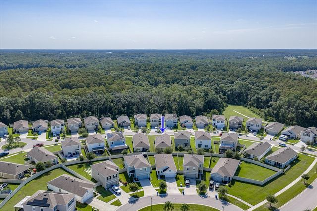 32844 BROOKS HAWK LANE, Wesley Chapel, FL 33543