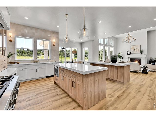 1700 Arrowpoint Ct, Franktown, CO 80116